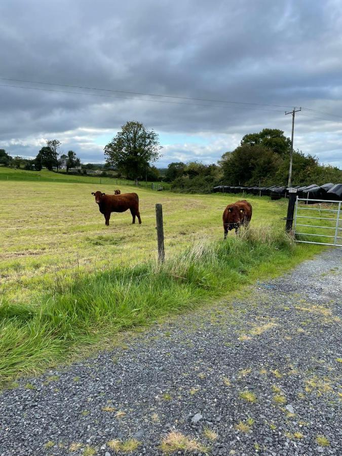 Apartamento Toddys Hideaway Cavan Exterior foto