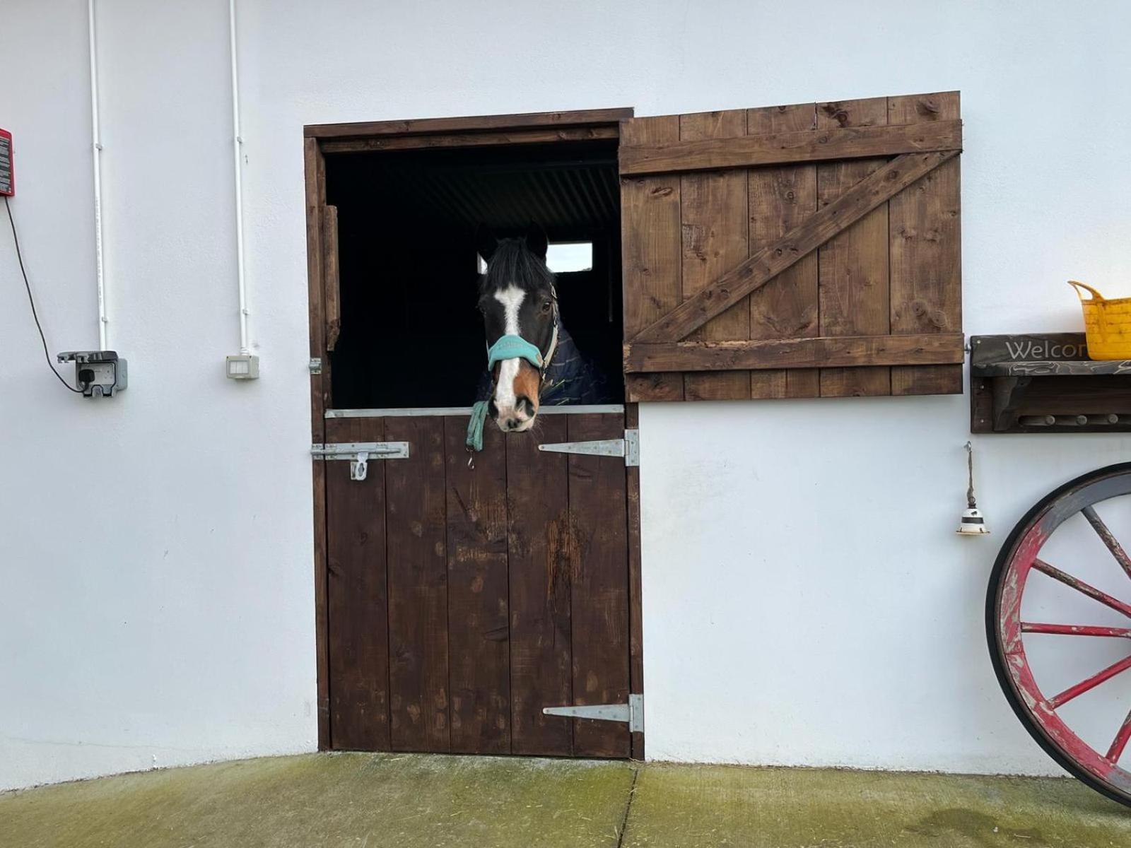Apartamento Toddys Hideaway Cavan Exterior foto